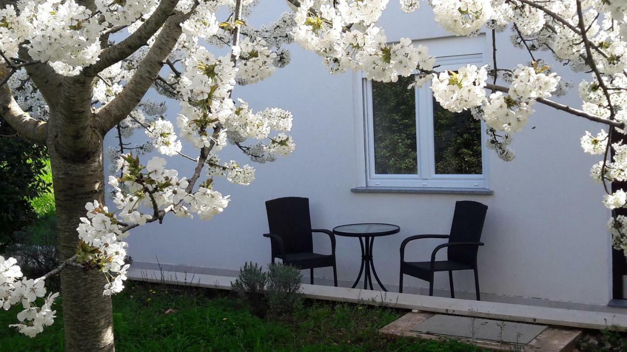 Apartment Greeny Galižana Exterior foto